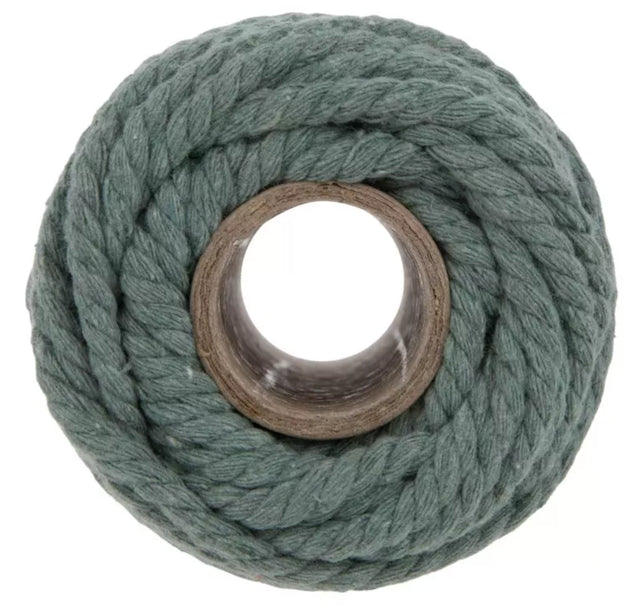 Organic Cotton Trivet & Potholder