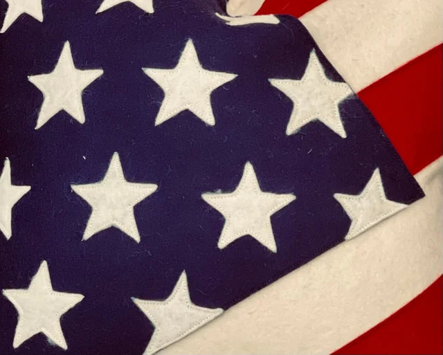Old Glory Wool Throw Pillow