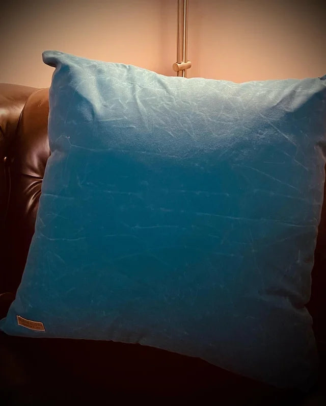 Waxed Canvas "Dog Proof" pillows